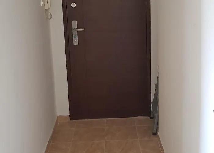 Kucko Veszprém